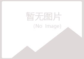 兰山区以寒建筑有限公司